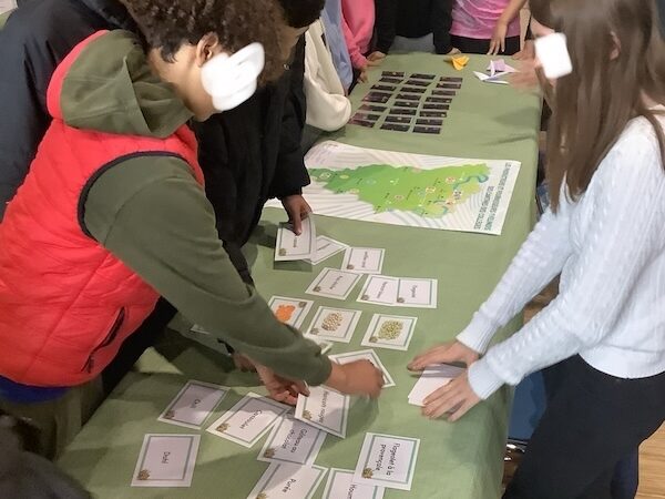 llustrations des stands éco-délégués du 28 mai